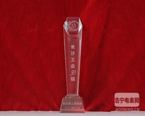 威勝集團榮獲“2013年度長沙工業三十強”等榮譽稱號